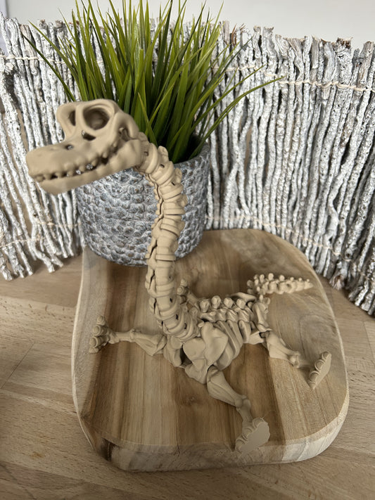 Brachiosaurus Skelett