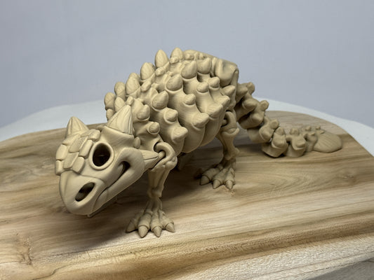 Ankylosaurus Skelett